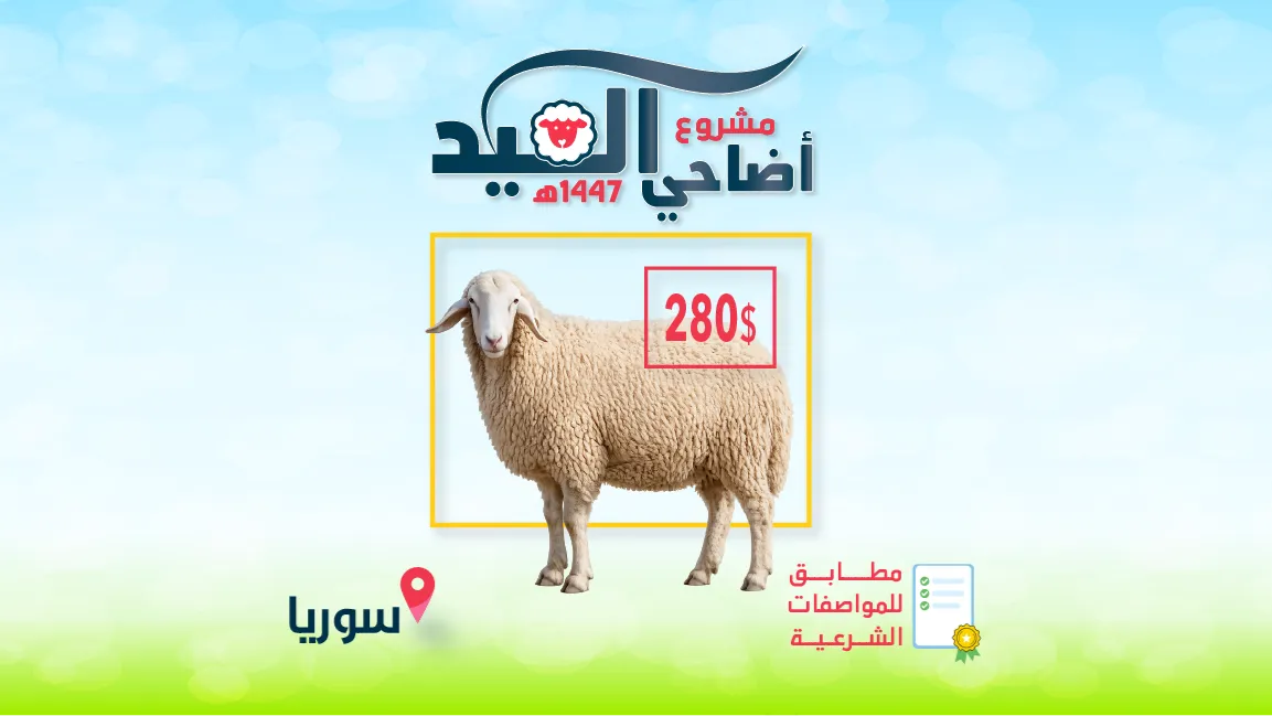 مشروع: أضاحي العيد